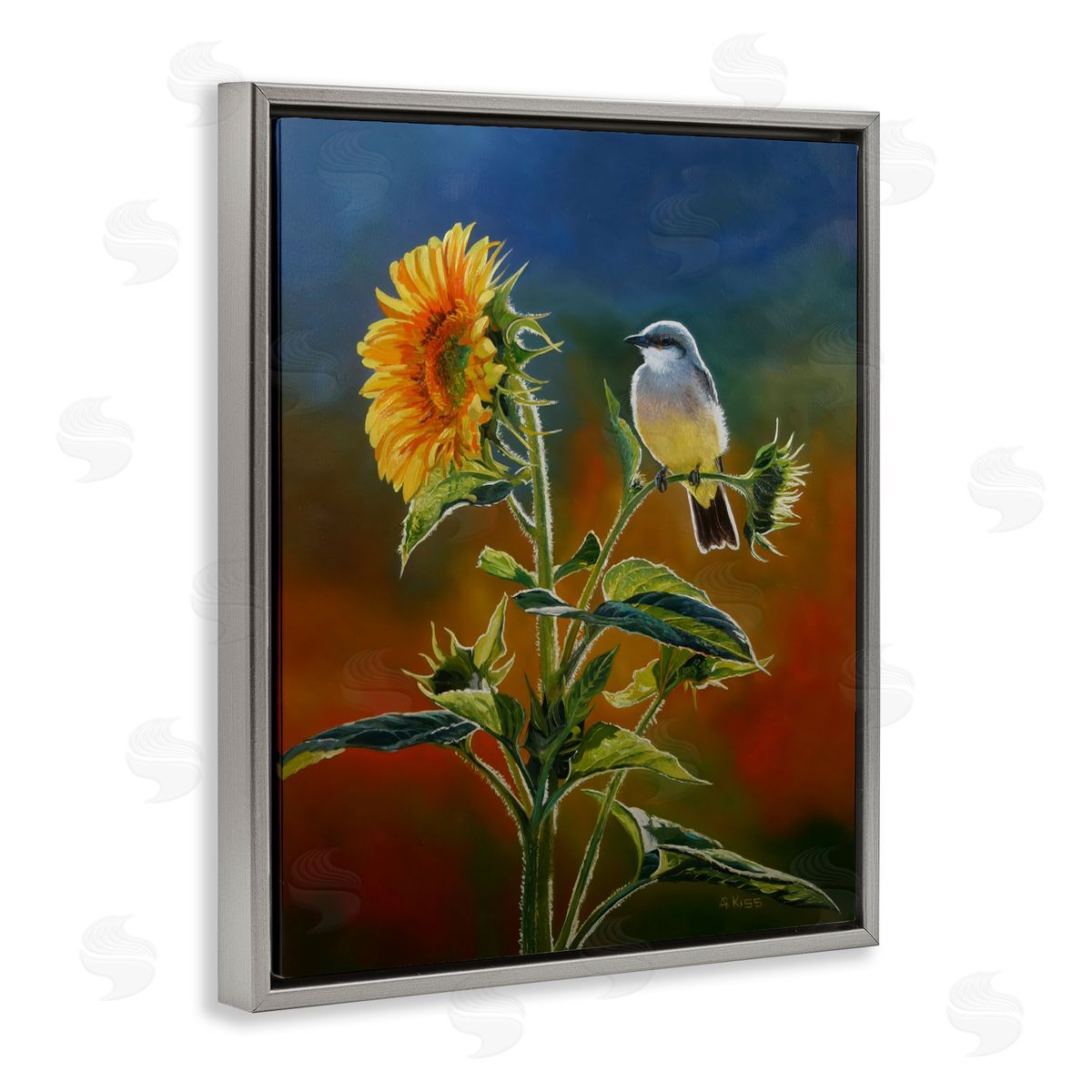 Andrew Kiss Western Kingbird & Flower Gray Floating Frame Canvas Wall Art Print