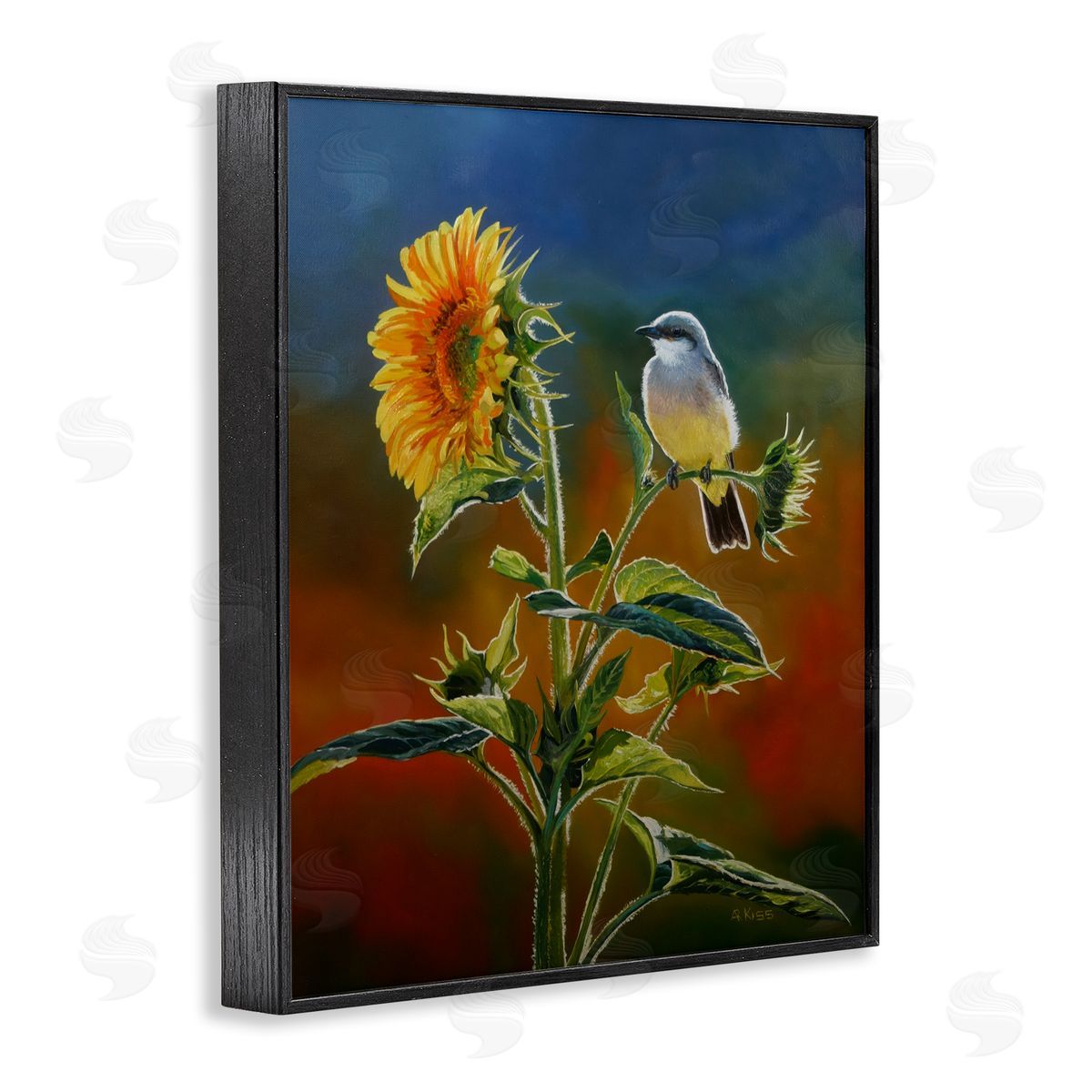 Andrew Kiss Western Kingbird & Flower Black Framed Giclee Wall Art Print