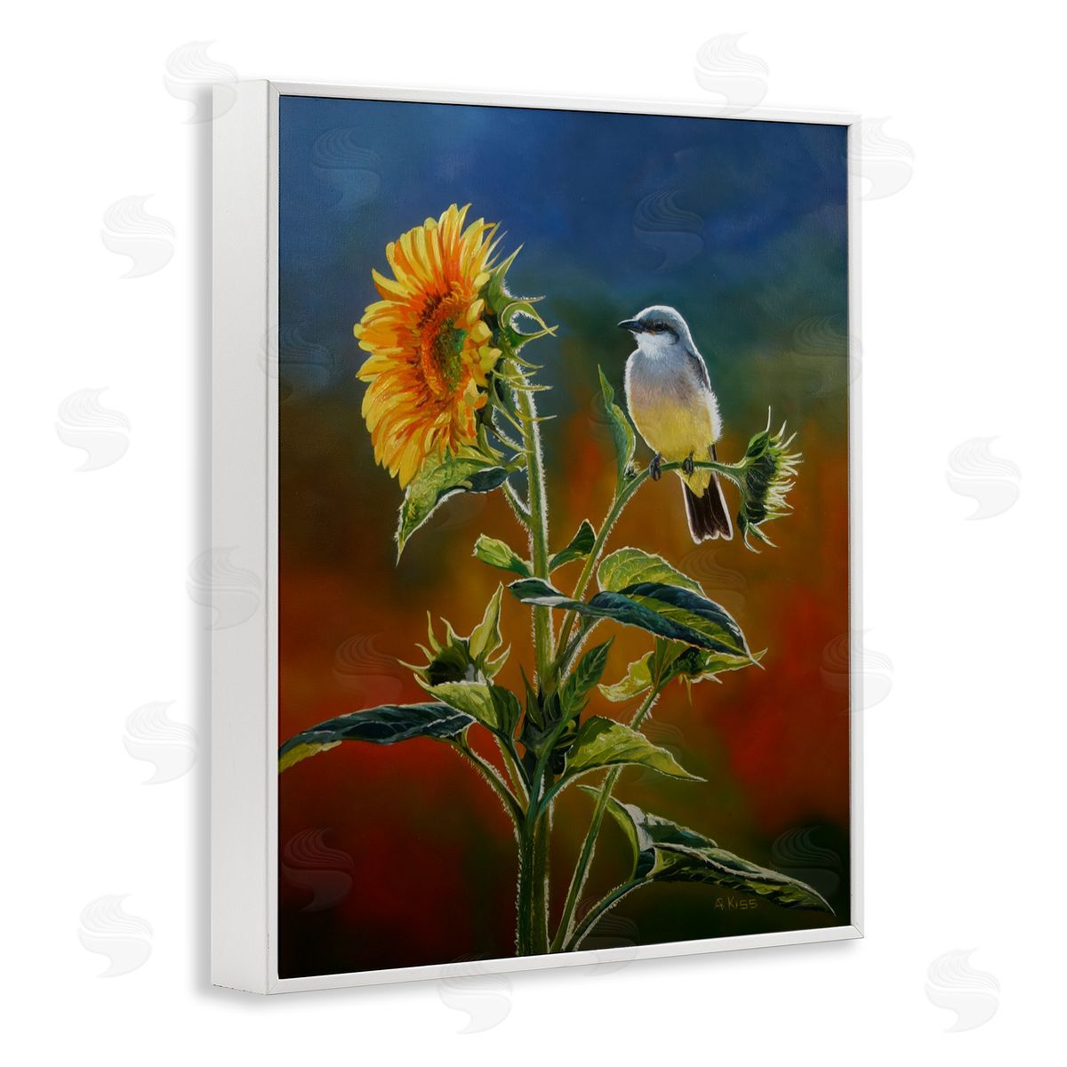 Andrew Kiss Western Kingbird & Flower White Framed Giclee Wall Art Print