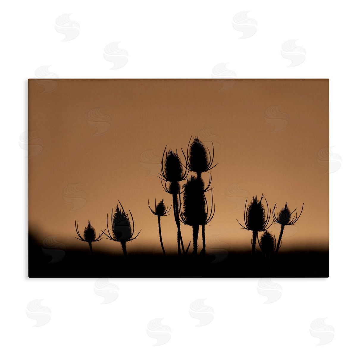 Nancy Crowell Botanical Sprigs Silhouettes Canvas Wall Art Print