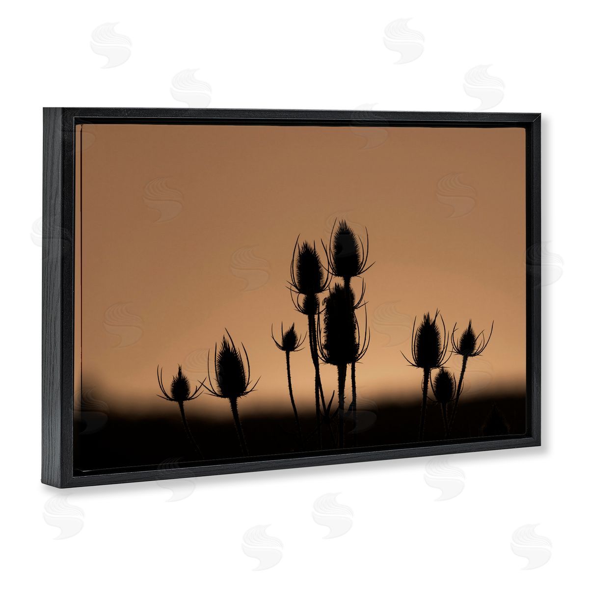 Nancy Crowell Botanical Sprigs Silhouettes Black Floating Frame Canvas Wall Art Print