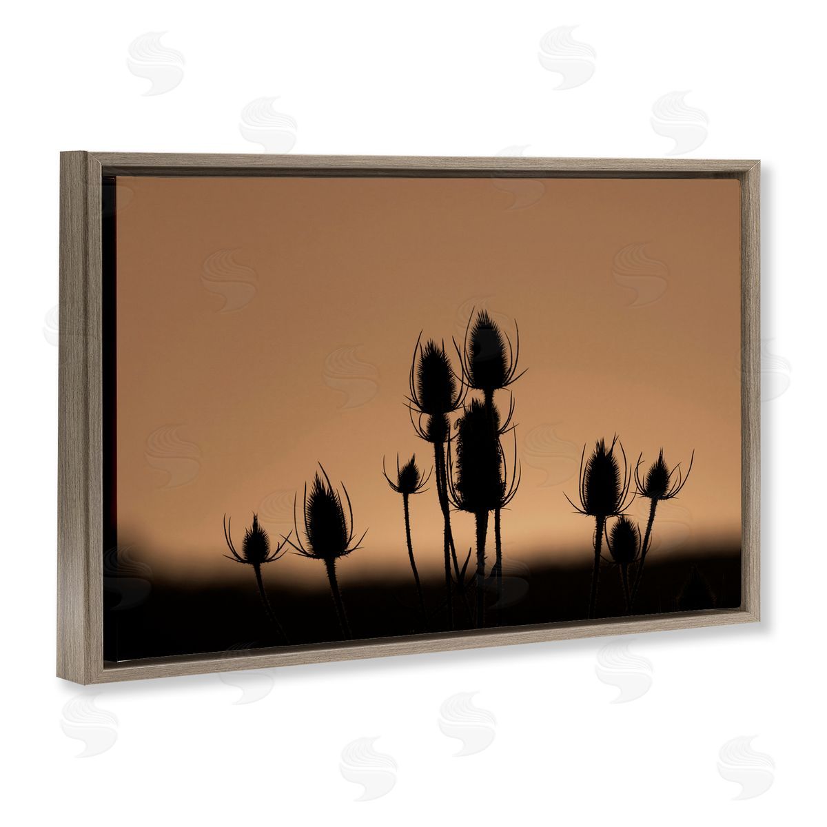 Nancy Crowell Botanical Sprigs Silhouettes Brown Floating Frame Canvas Wall Art Print