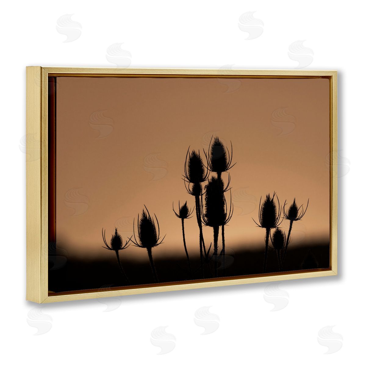 Nancy Crowell Botanical Sprigs Silhouettes Gold Floating Frame Canvas Wall Art Print
