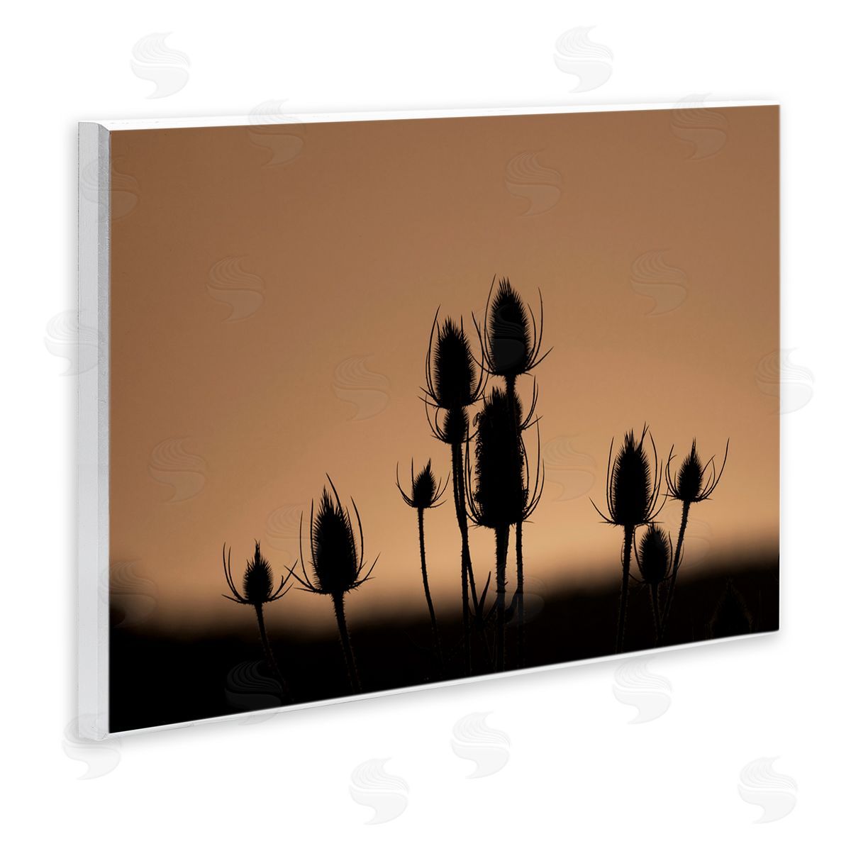 Nancy Crowell Botanical Sprigs Silhouettes Wooden Wall Plaque Art Print