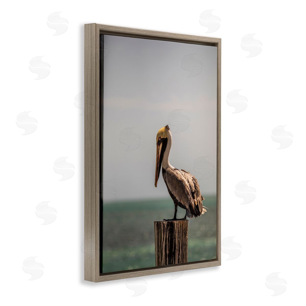 Aaron Matheson Nautical Landscape Pelican Brown Floating Frame Canvas Wall Art Print