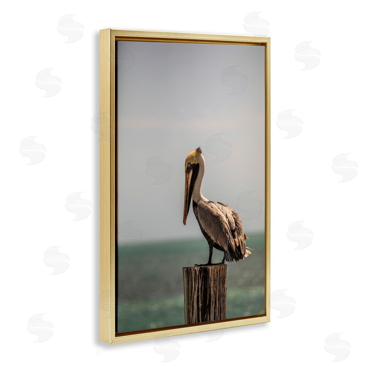 Aaron Matheson Nautical Landscape Pelican Gold Floating Frame Canvas Wall Art Print