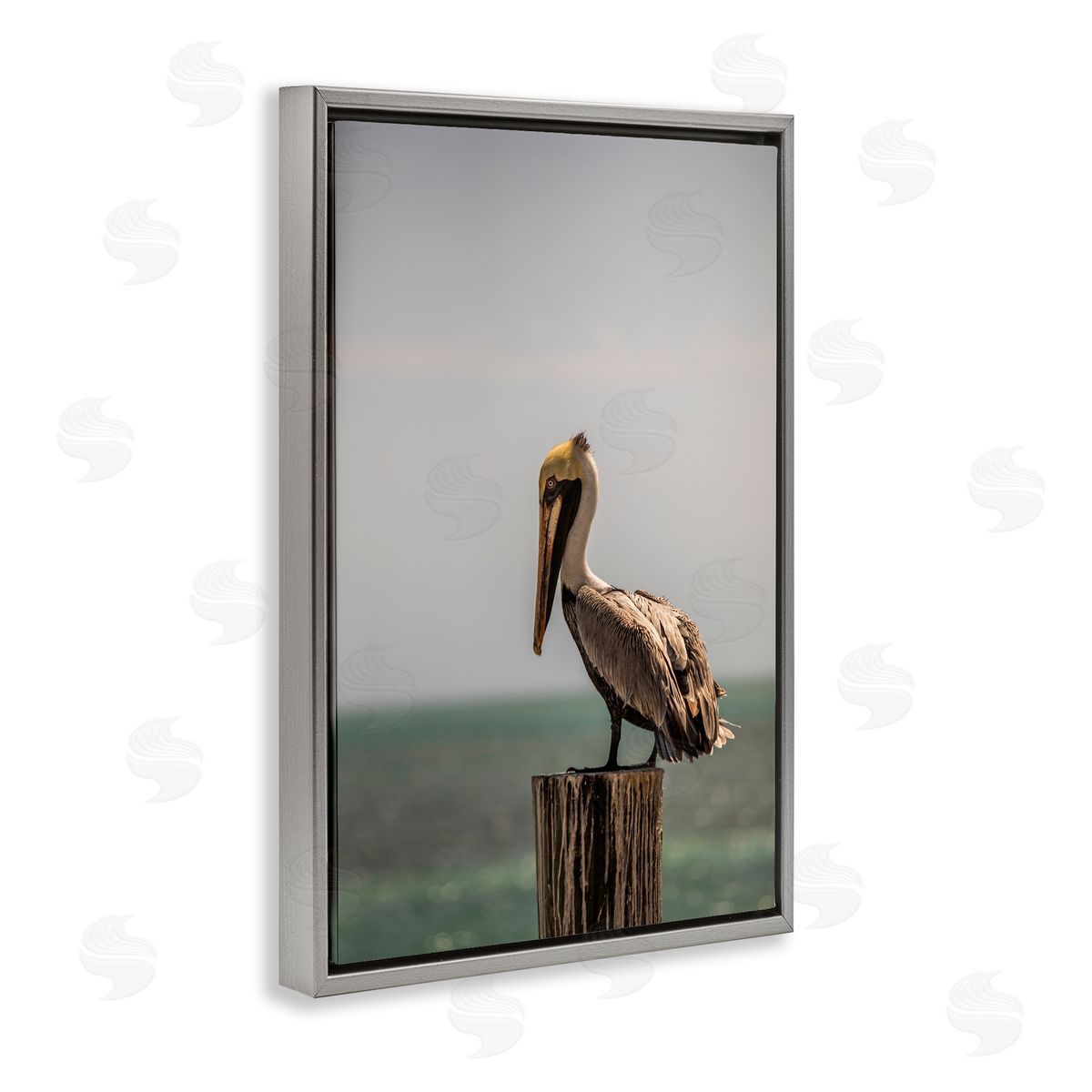 Aaron Matheson Nautical Landscape Pelican Gray Floating Frame Canvas Wall Art Print