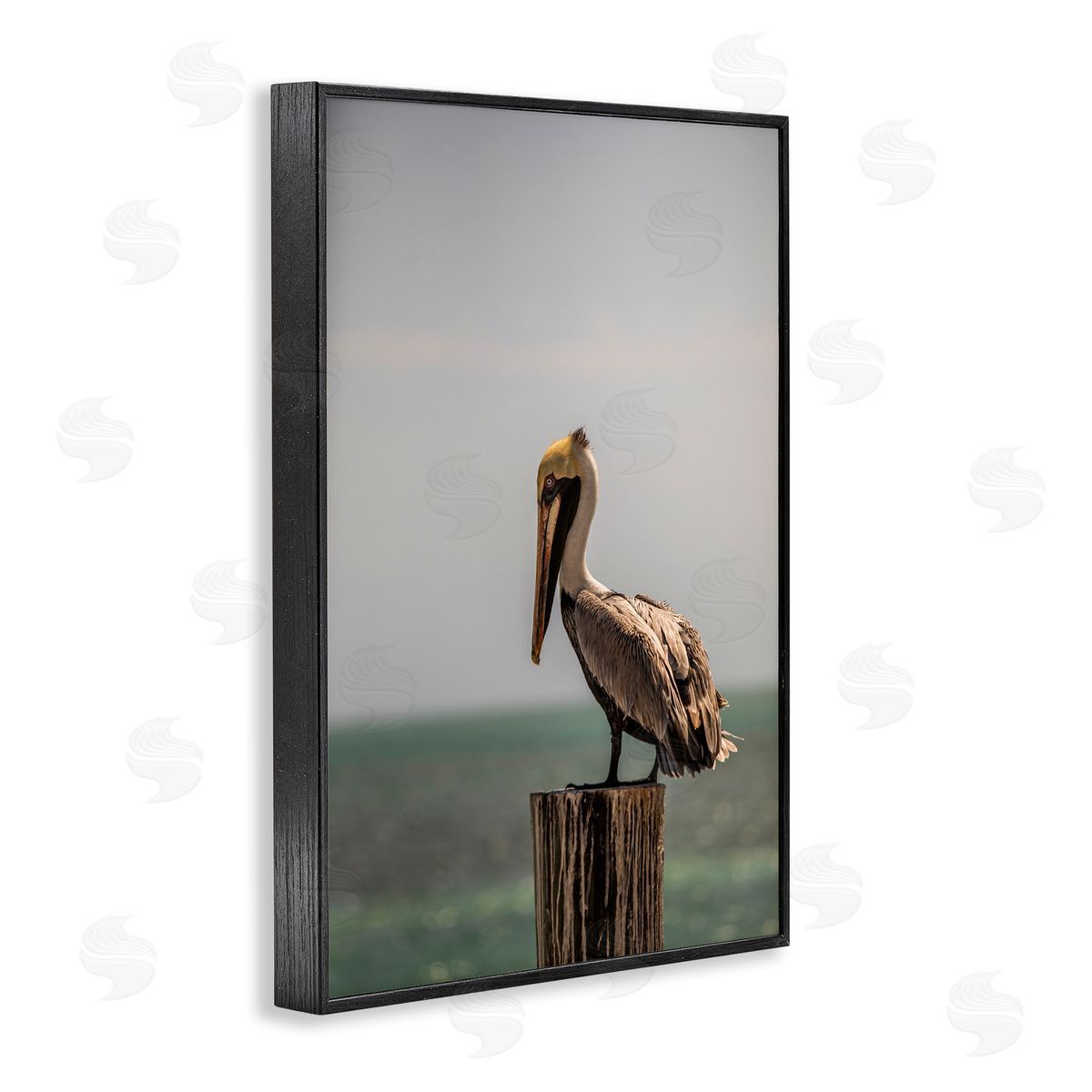 Aaron Matheson Nautical Landscape Pelican Black Framed Giclee Wall Art Print