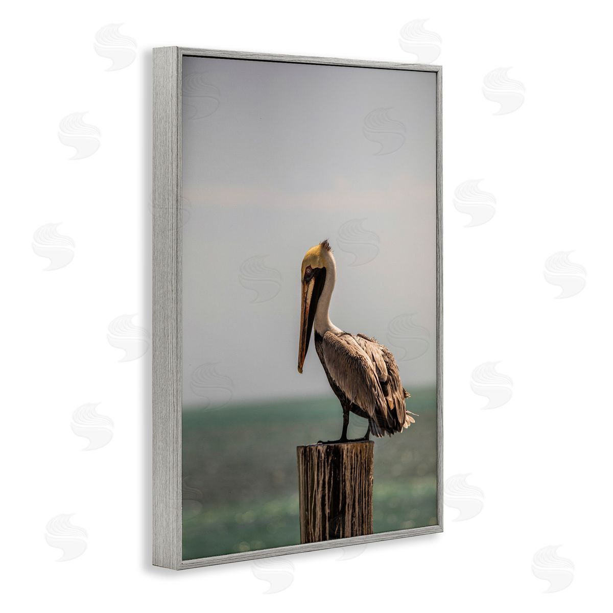 Aaron Matheson Nautical Landscape Pelican Gray Framed Giclee Wall Art Print