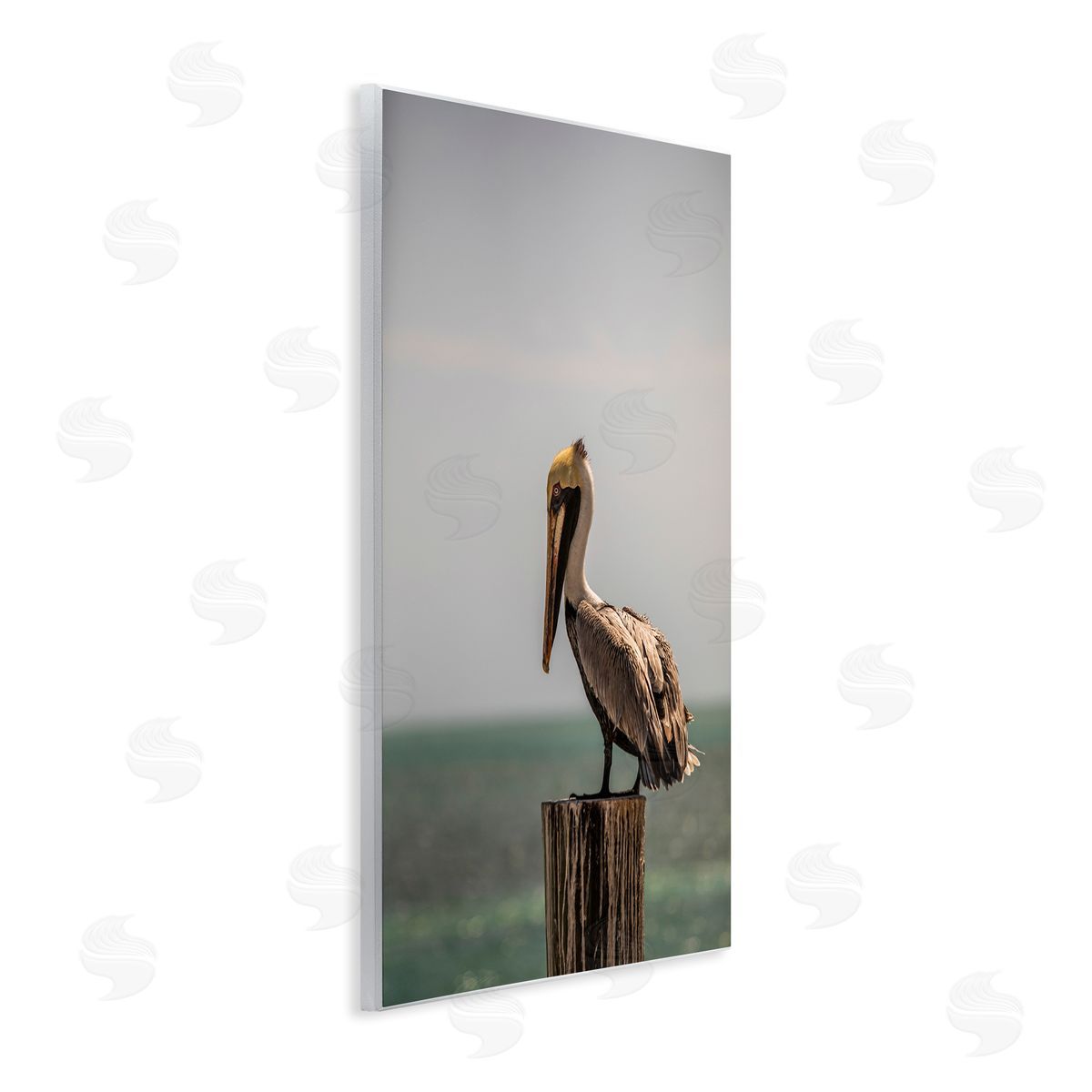 Aaron Matheson Nautical Landscape Pelican Wooden Wall Plaque Art Print