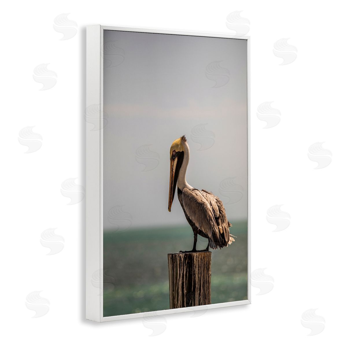 Aaron Matheson Nautical Landscape Pelican White Framed Giclee Wall Art Print