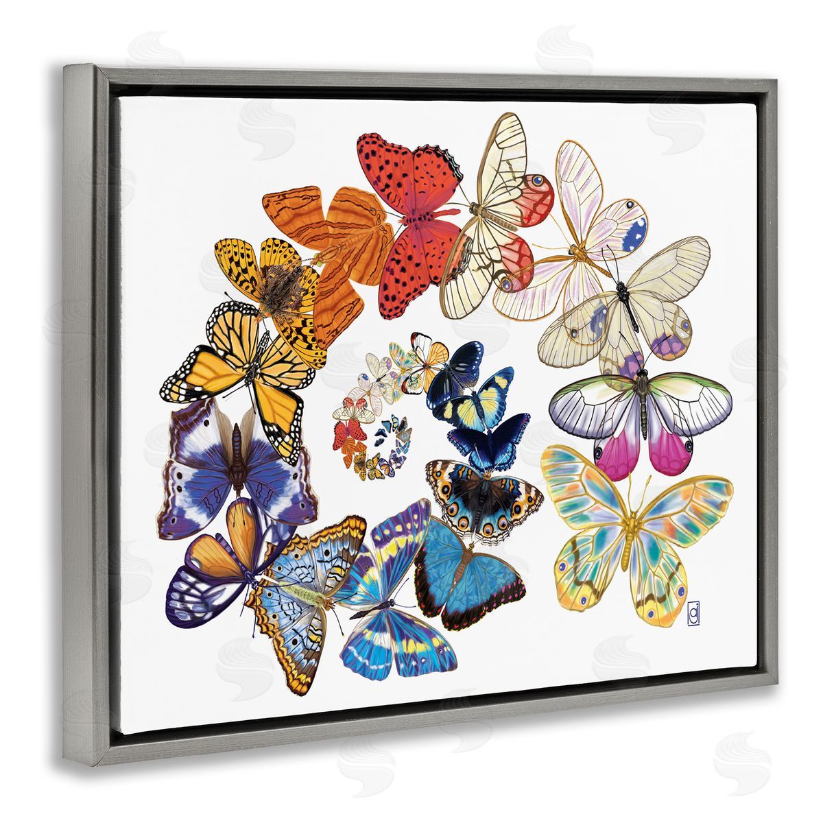 Ann Jasperson Flying Butterfly Spiral Gray Floating Frame Canvas Wall Art Print