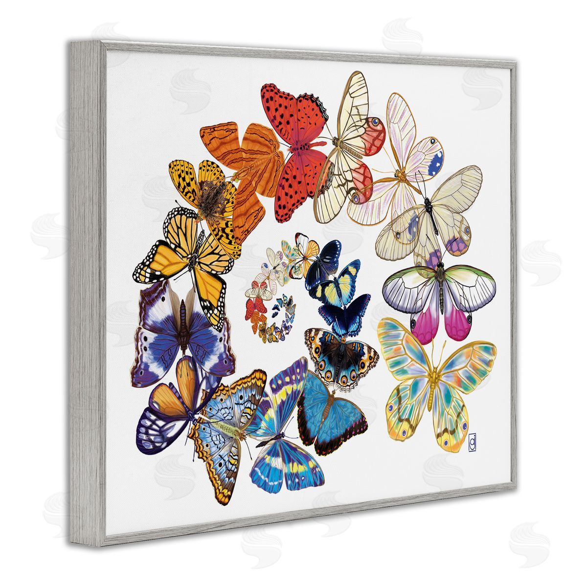 Ann Jasperson Flying Butterfly Spiral Gray Framed Giclee Wall Art Print