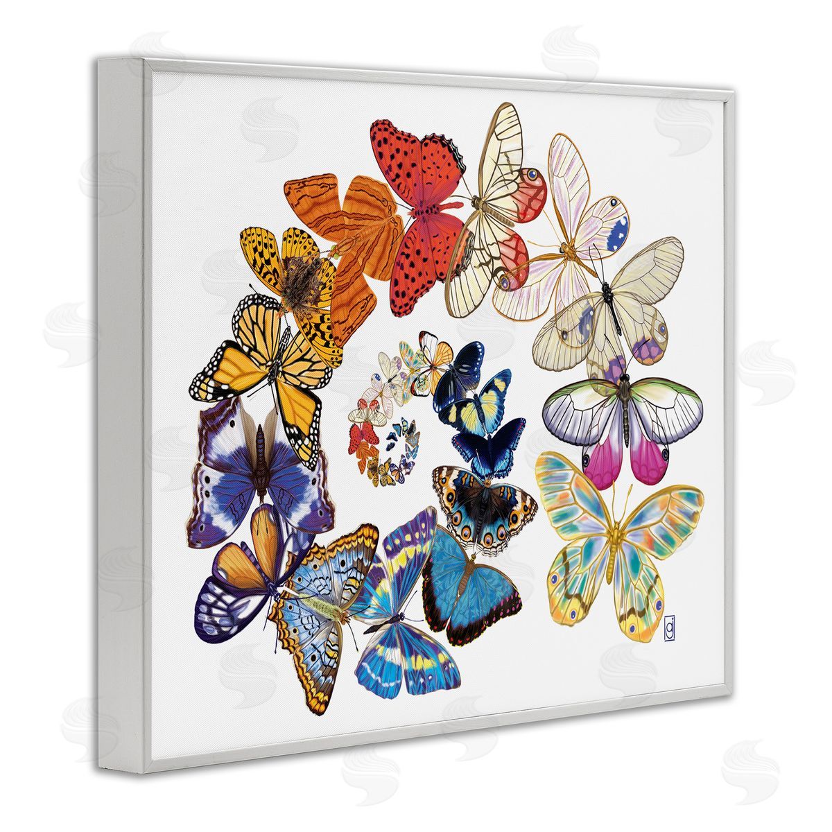 Ann Jasperson Flying Butterfly Spiral White Framed Giclee Wall Art Print