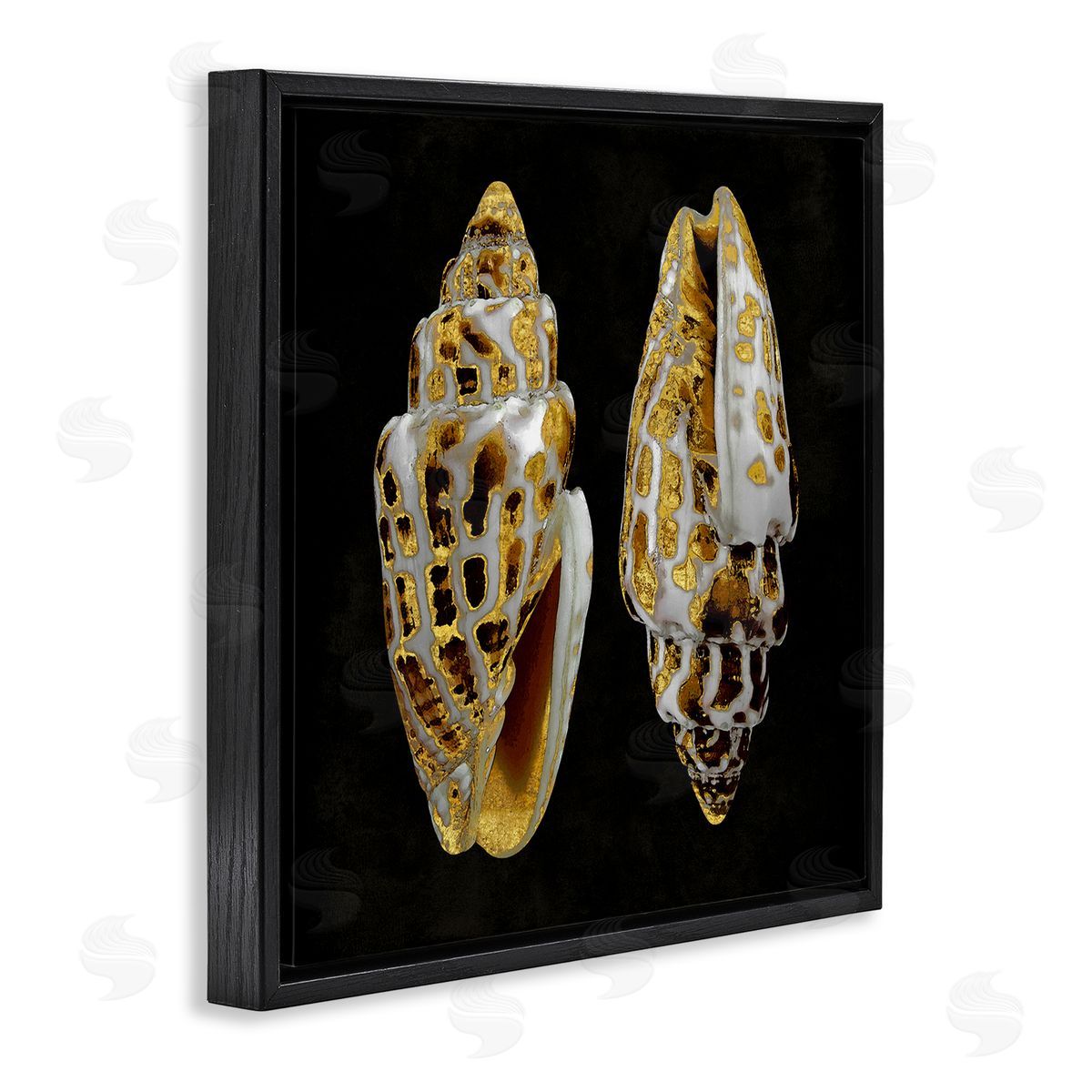 Caroline Kelly Spotted Cowrie Shells Black Floating Frame Canvas Wall Art Print