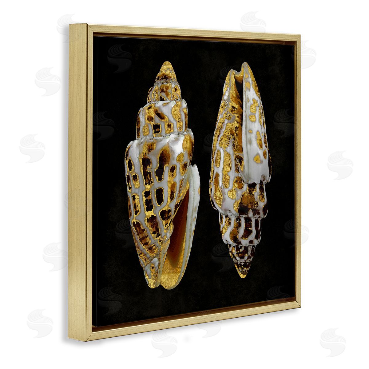 Caroline Kelly Spotted Cowrie Shells Gold Floating Frame Canvas Wall Art Print