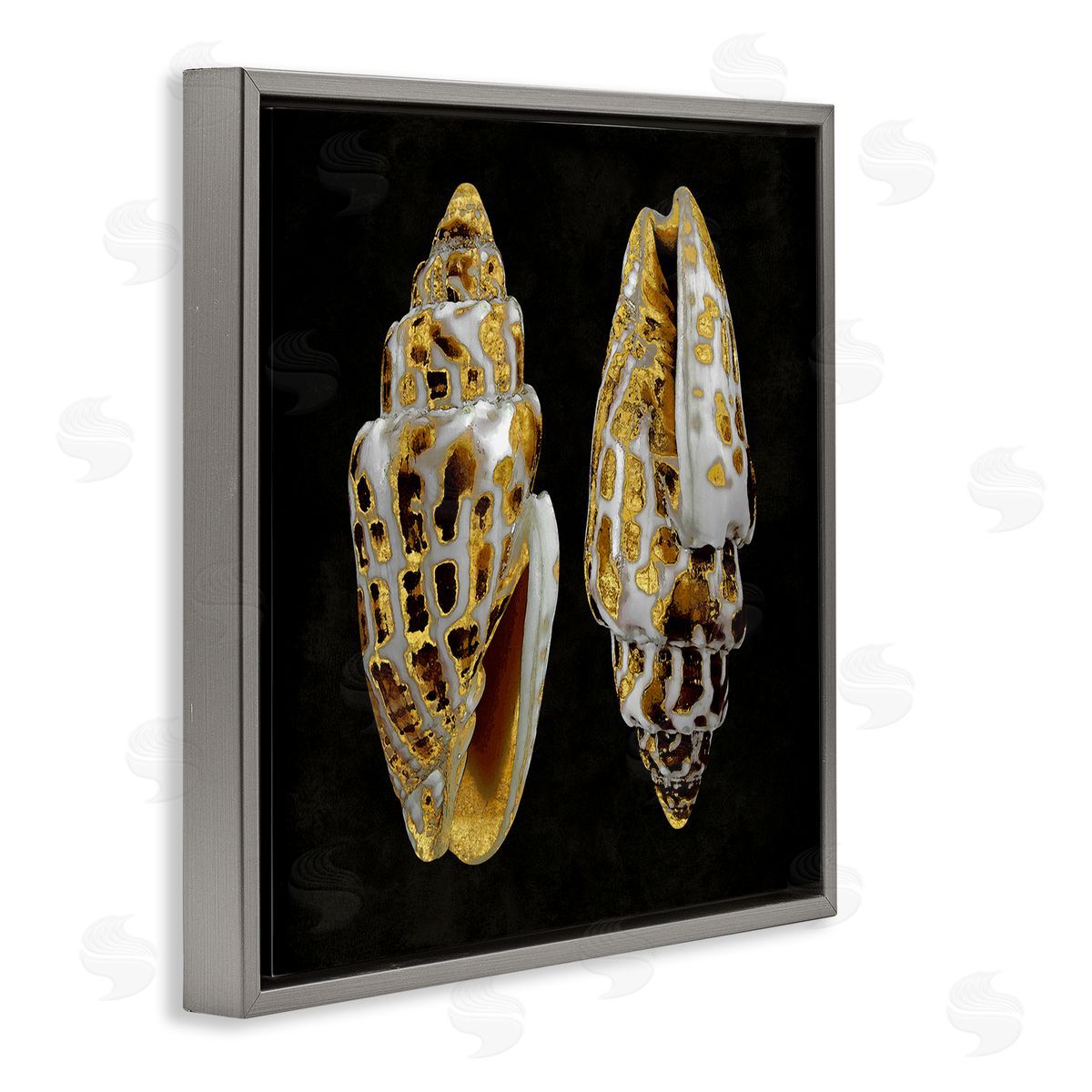 Caroline Kelly Spotted Cowrie Shells Gray Floating Frame Canvas Wall Art Print