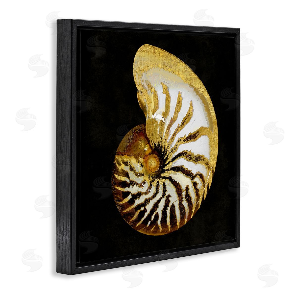 Caroline Kelly Spiral Patterned Shell Black Floating Frame Canvas Wall Art Print