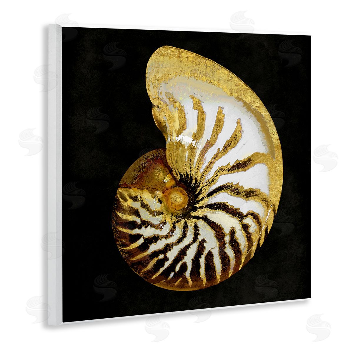 Caroline Kelly Spiral Patterned Shell Wooden Wall Plaque Art Print