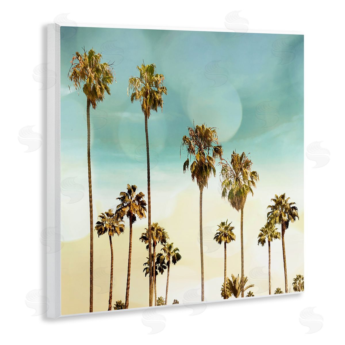 Devon Davis Palm Tree Beach Sky Wooden Wall Plaque Art Print
