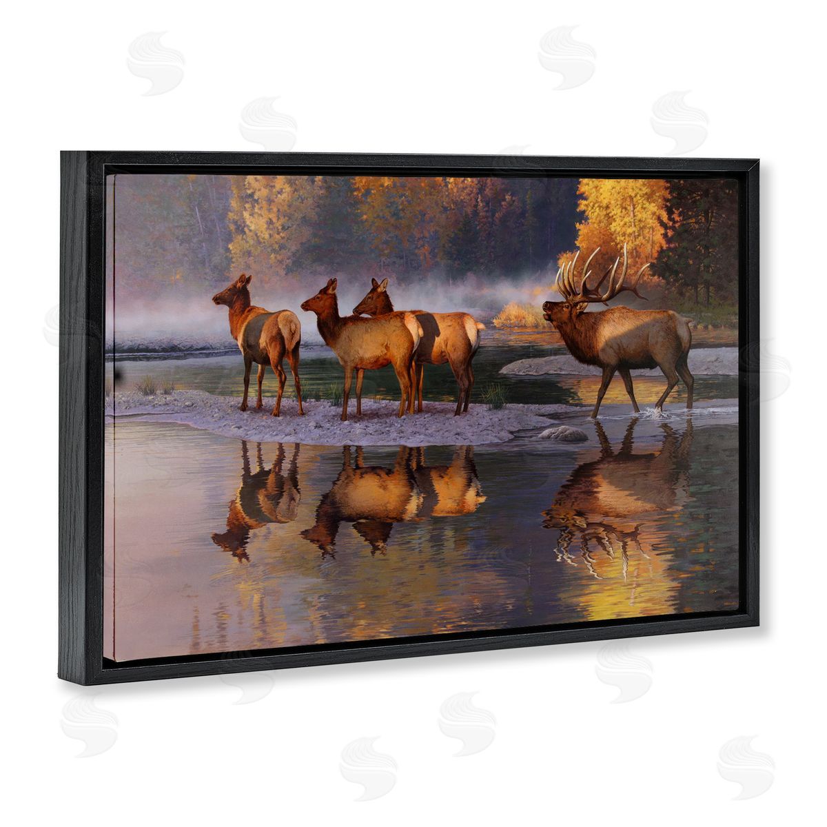 Rod Lawrence Distant Challenge Elk Family Black Floating Frame Canvas Wall Art Print