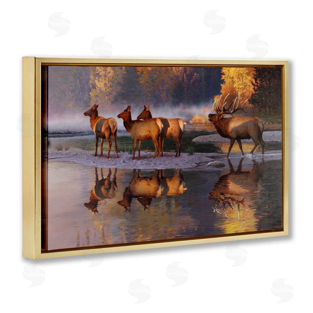 Rod Lawrence Distant Challenge Elk Family Gold Floating Frame Canvas Wall Art Print