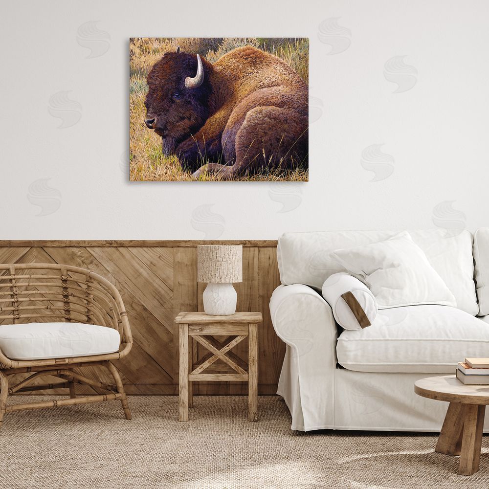 Rod Lawrence Relaxing Young Bison Canvas Wall Art Print in Room