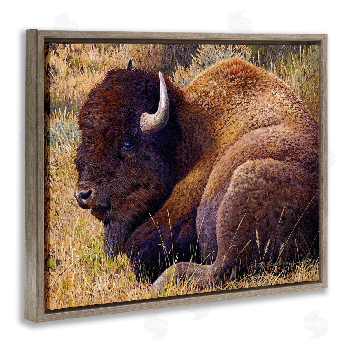 Rod Lawrence Relaxing Young Bison Brown Floating Frame Canvas Wall Art Print