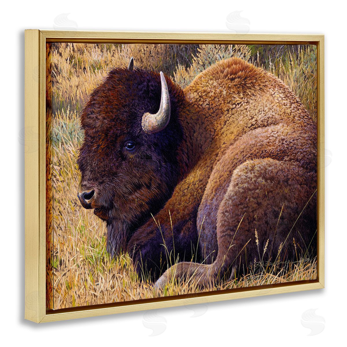 Rod Lawrence Relaxing Young Bison Gold Floating Frame Canvas Wall Art Print
