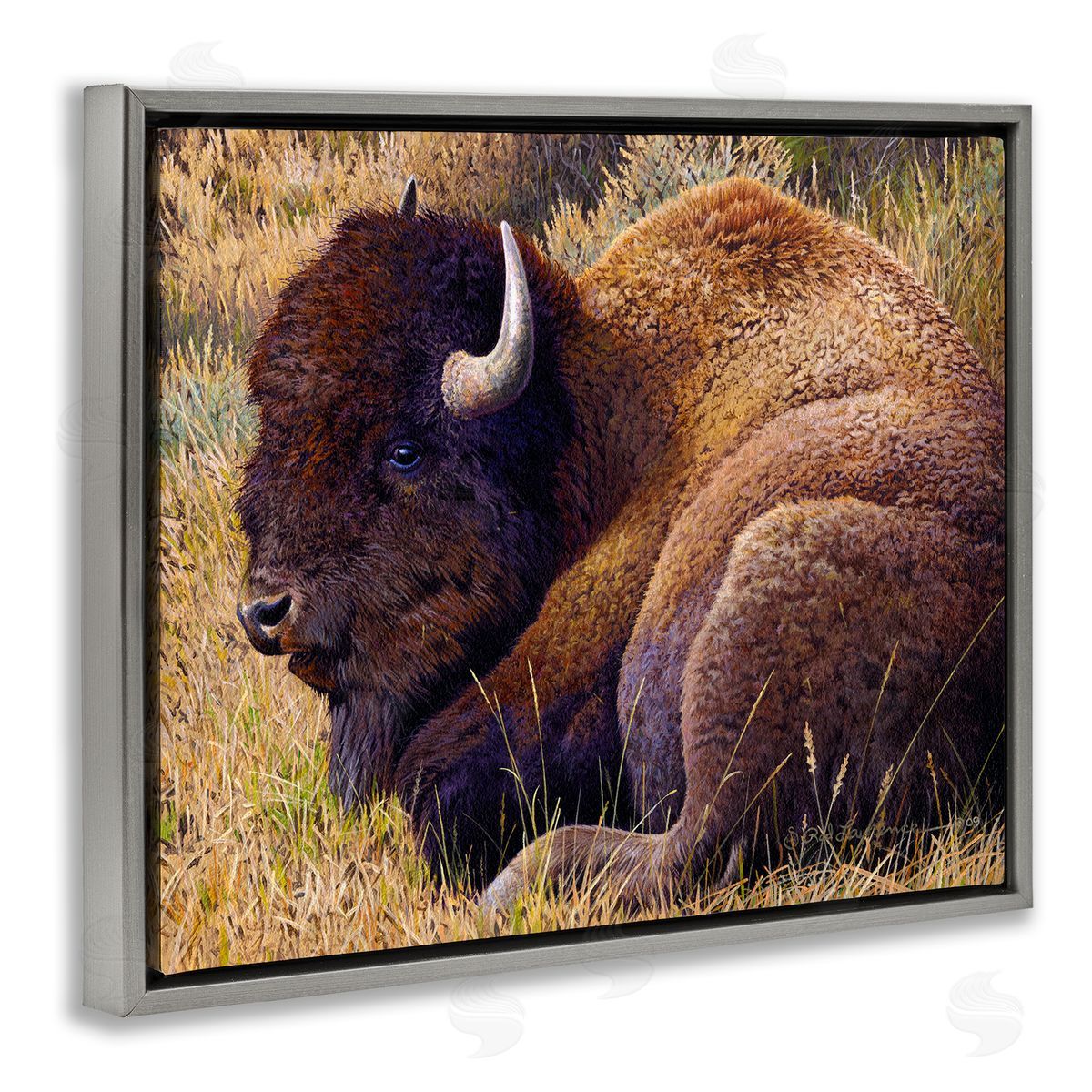 Rod Lawrence Relaxing Young Bison Gray Floating Frame Canvas Wall Art Print