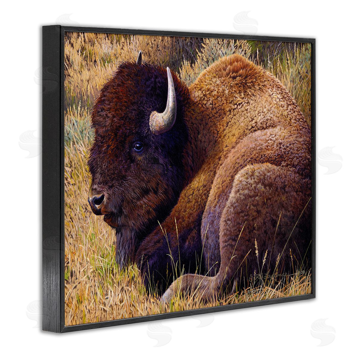 Rod Lawrence Relaxing Young Bison Black Framed Giclee Wall Art Print