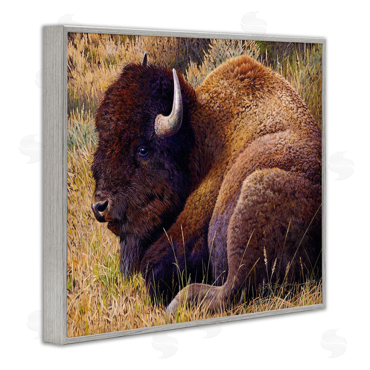 Rod Lawrence Relaxing Young Bison Gray Framed Giclee Wall Art Print