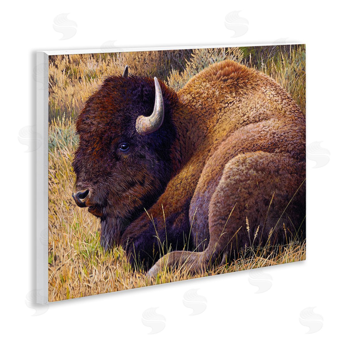 Rod Lawrence Relaxing Young Bison Wooden Wall Plaque Art Print