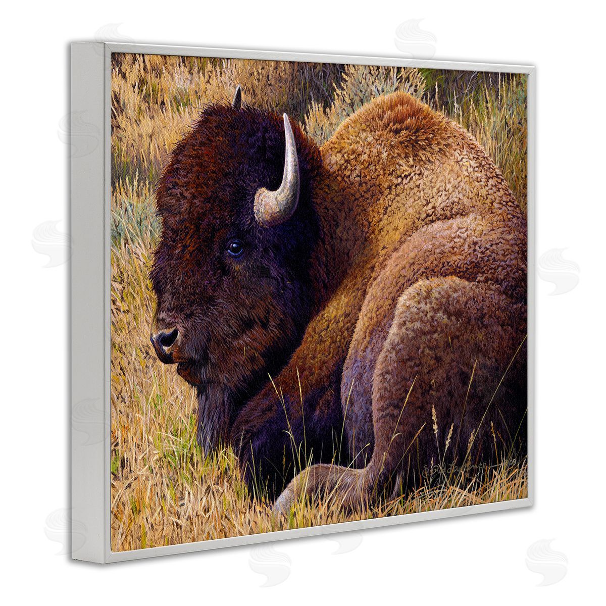 Rod Lawrence Relaxing Young Bison White Framed Giclee Wall Art Print