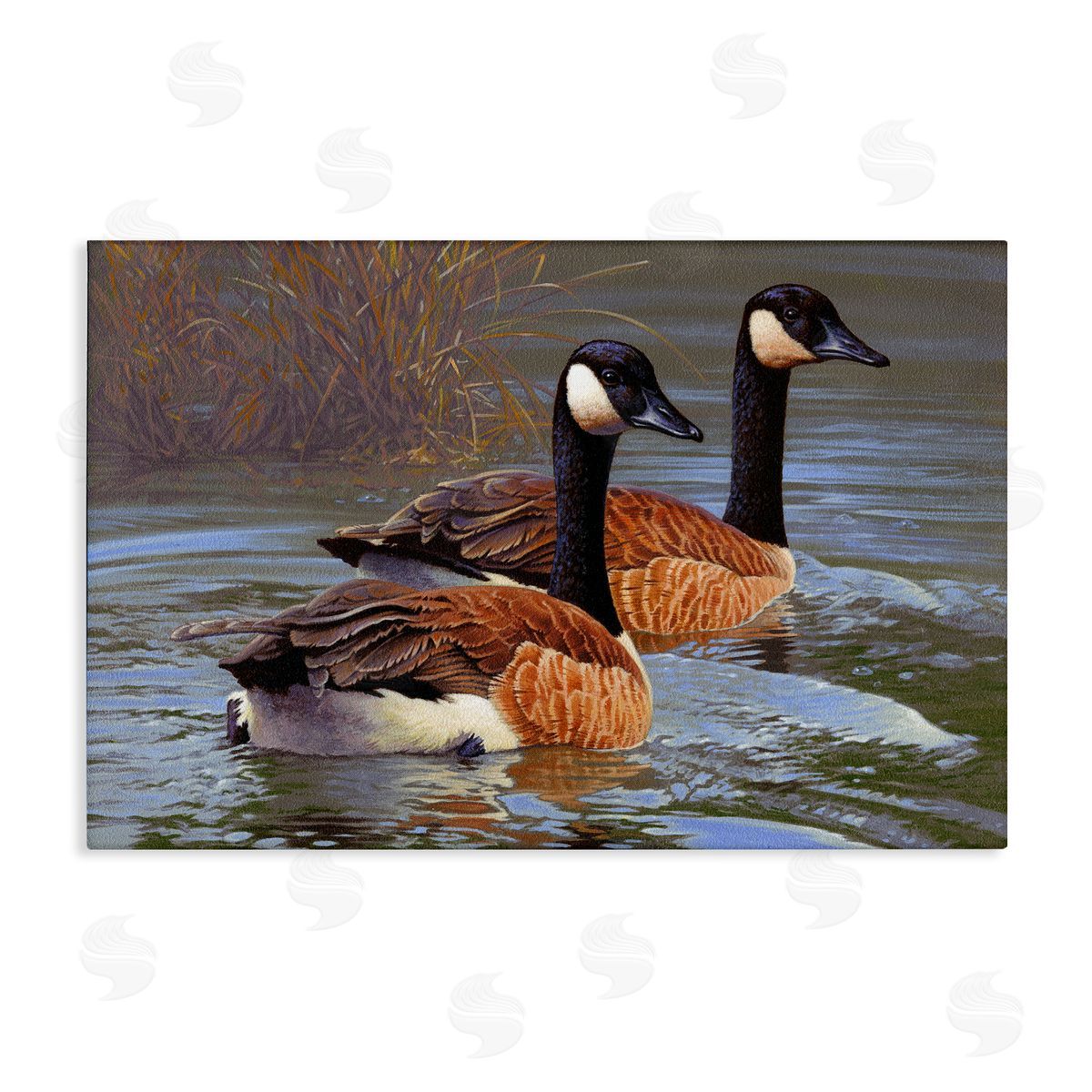 Rod Lawrence Backwater Canada Geese Canvas Wall Art Print