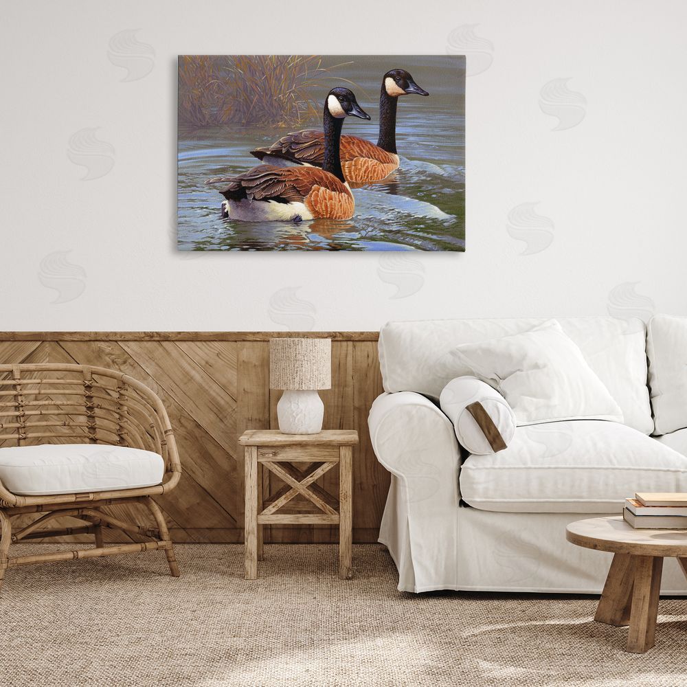 Rod Lawrence Backwater Canada Geese Canvas Wall Art Print in Room