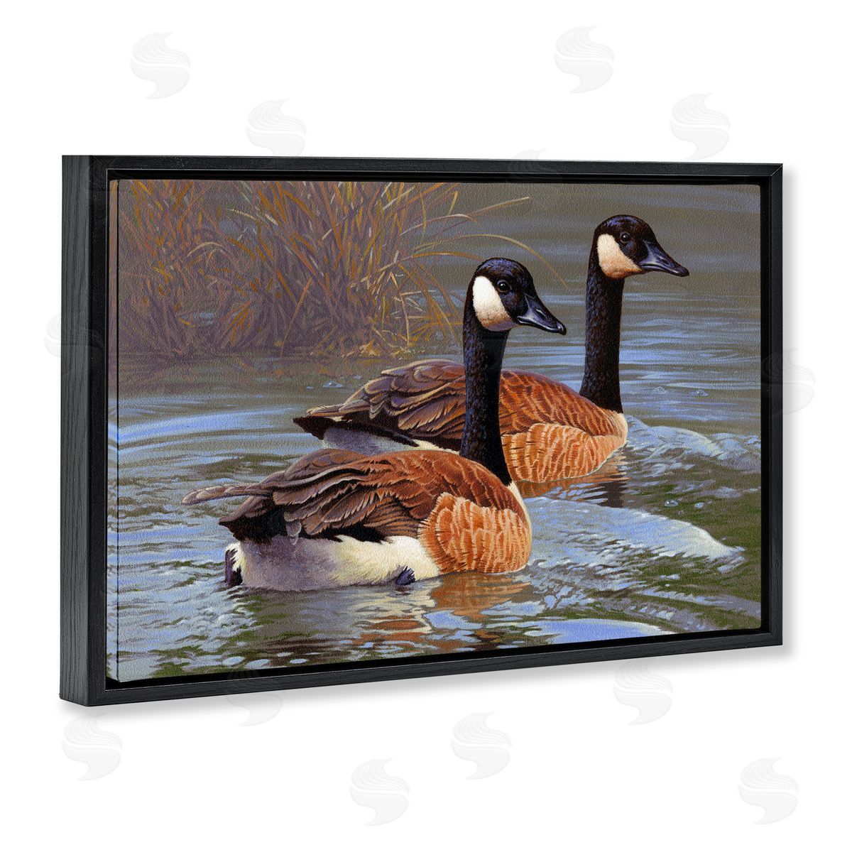 Rod Lawrence Backwater Canada Geese Black Floating Frame Canvas Wall Art Print