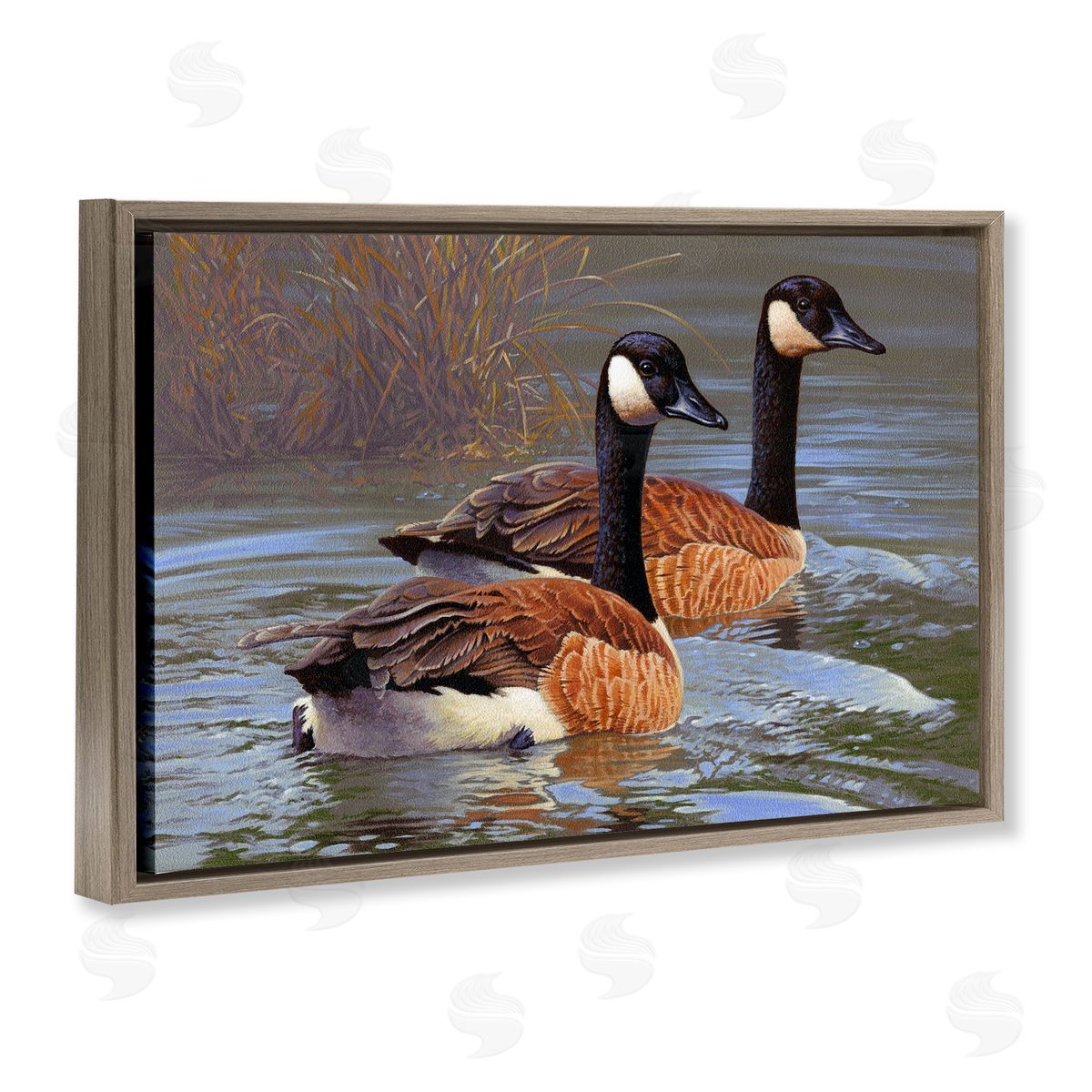 Rod Lawrence Backwater Canada Geese Brown Floating Frame Canvas Wall Art Print