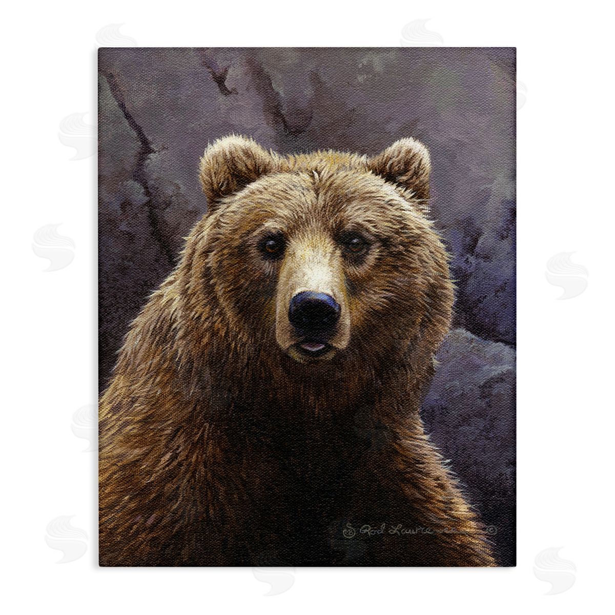 Rod Lawrence Surprised Bear Portrait Canvas Wall Art Print