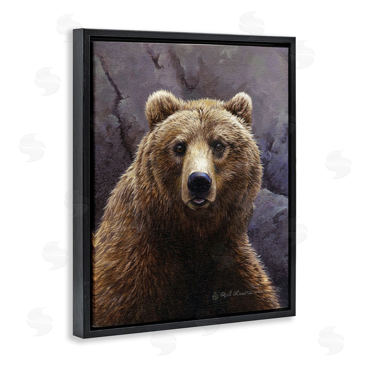 Rod Lawrence Surprised Bear Portrait Black Floating Frame Canvas Wall Art Print
