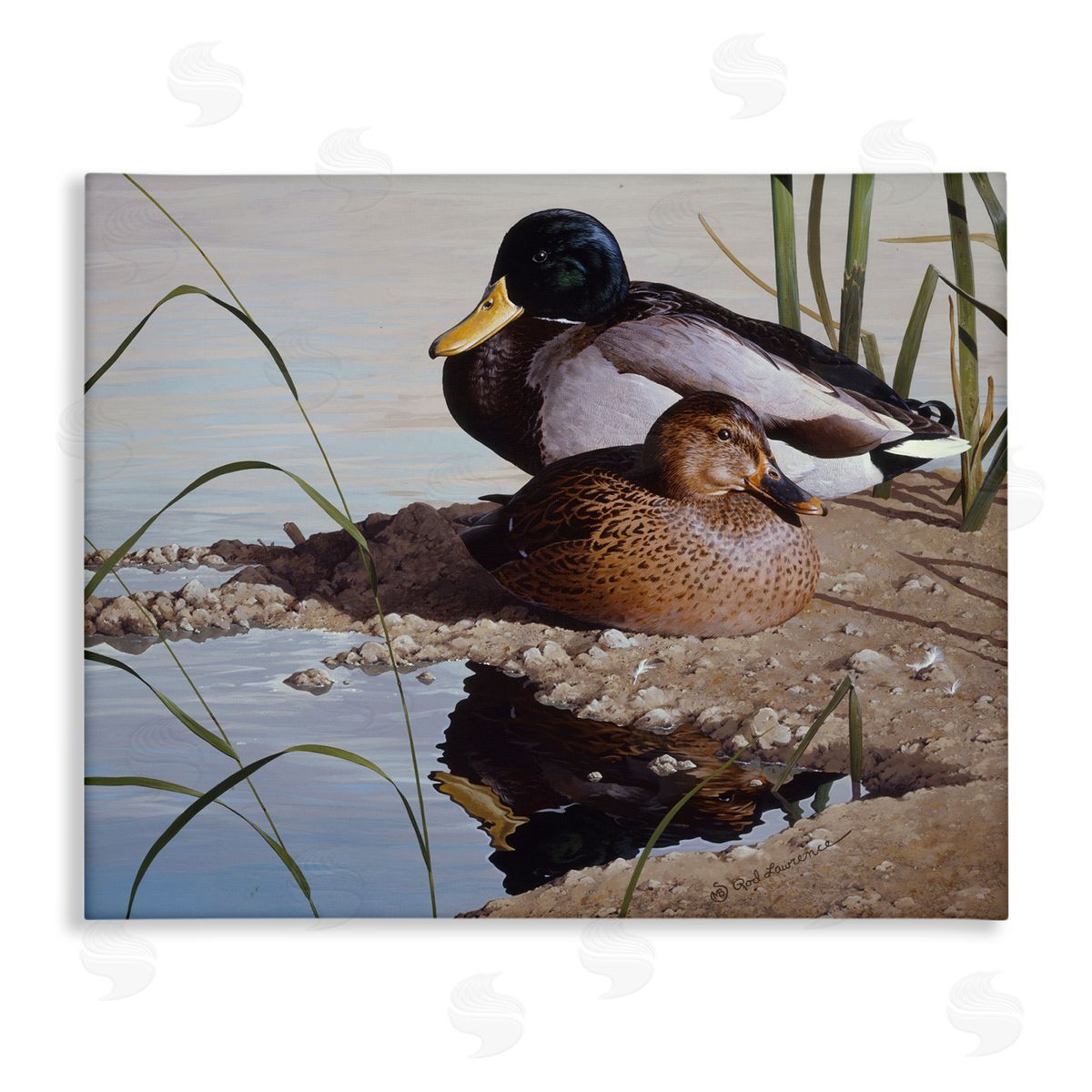 Rod Lawrence Two Ducks Water's Edge Canvas Wall Art Print