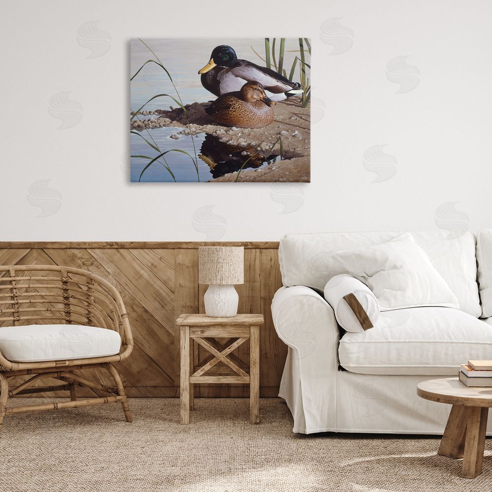 Rod Lawrence Two Ducks Water's Edge Canvas Wall Art Print in Room