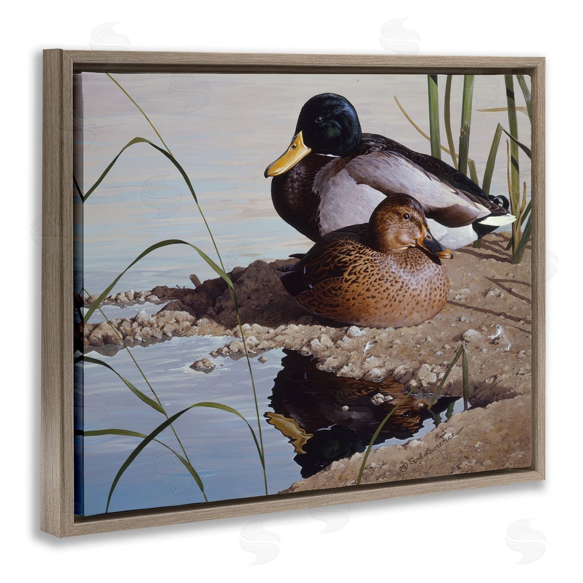Rod Lawrence Two Ducks Water's Edge Brown Floating Frame Canvas Wall Art Print