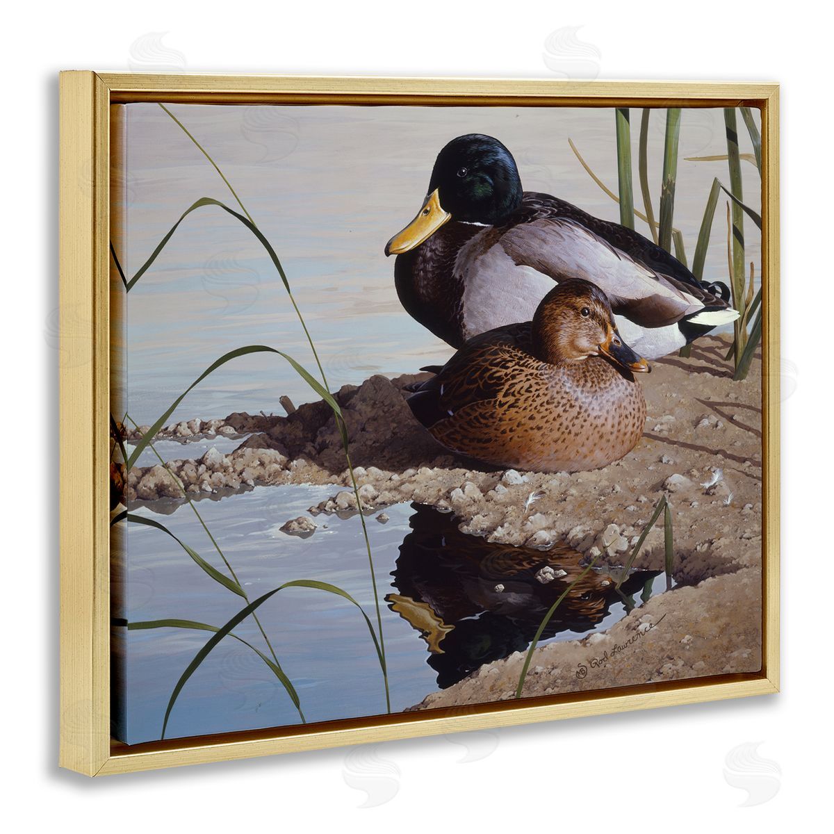 Rod Lawrence Two Ducks Water's Edge Gold Floating Frame Canvas Wall Art Print