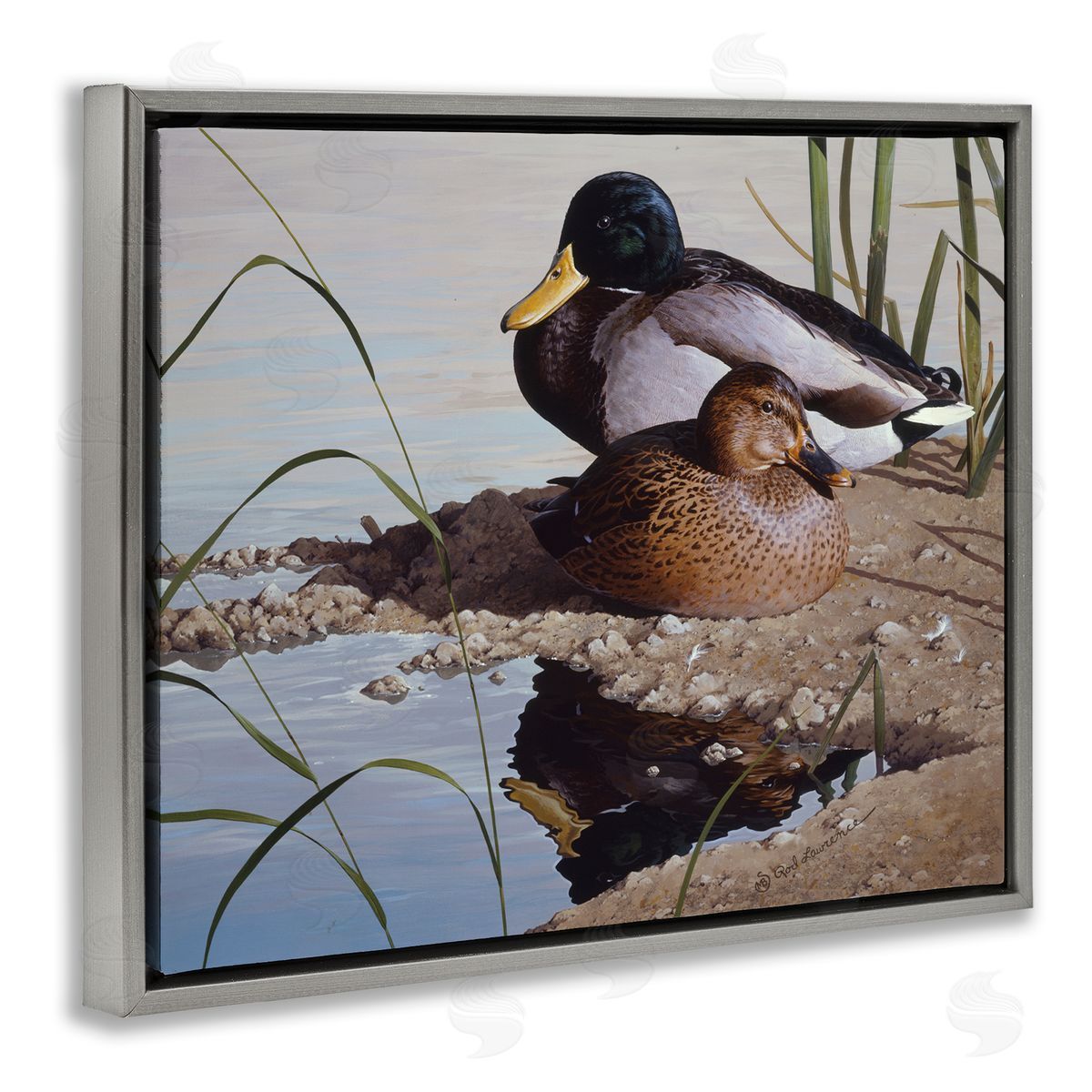 Rod Lawrence Two Ducks Water's Edge Gray Floating Frame Canvas Wall Art Print