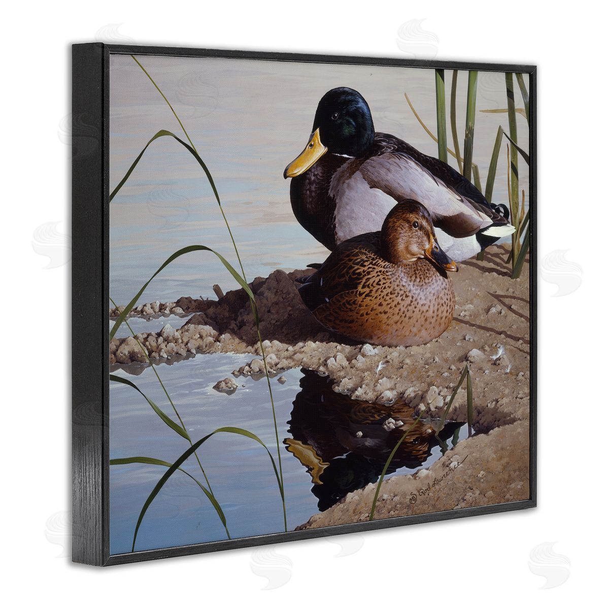 Rod Lawrence Two Ducks Water's Edge Black Framed Giclee Wall Art Print