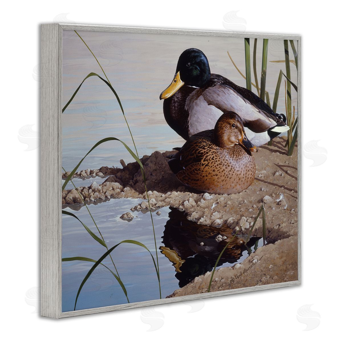 Rod Lawrence Two Ducks Water's Edge Gray Framed Giclee Wall Art Print