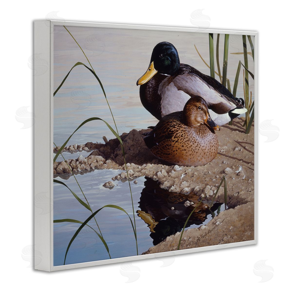 Rod Lawrence Two Ducks Water's Edge White Framed Giclee Wall Art Print