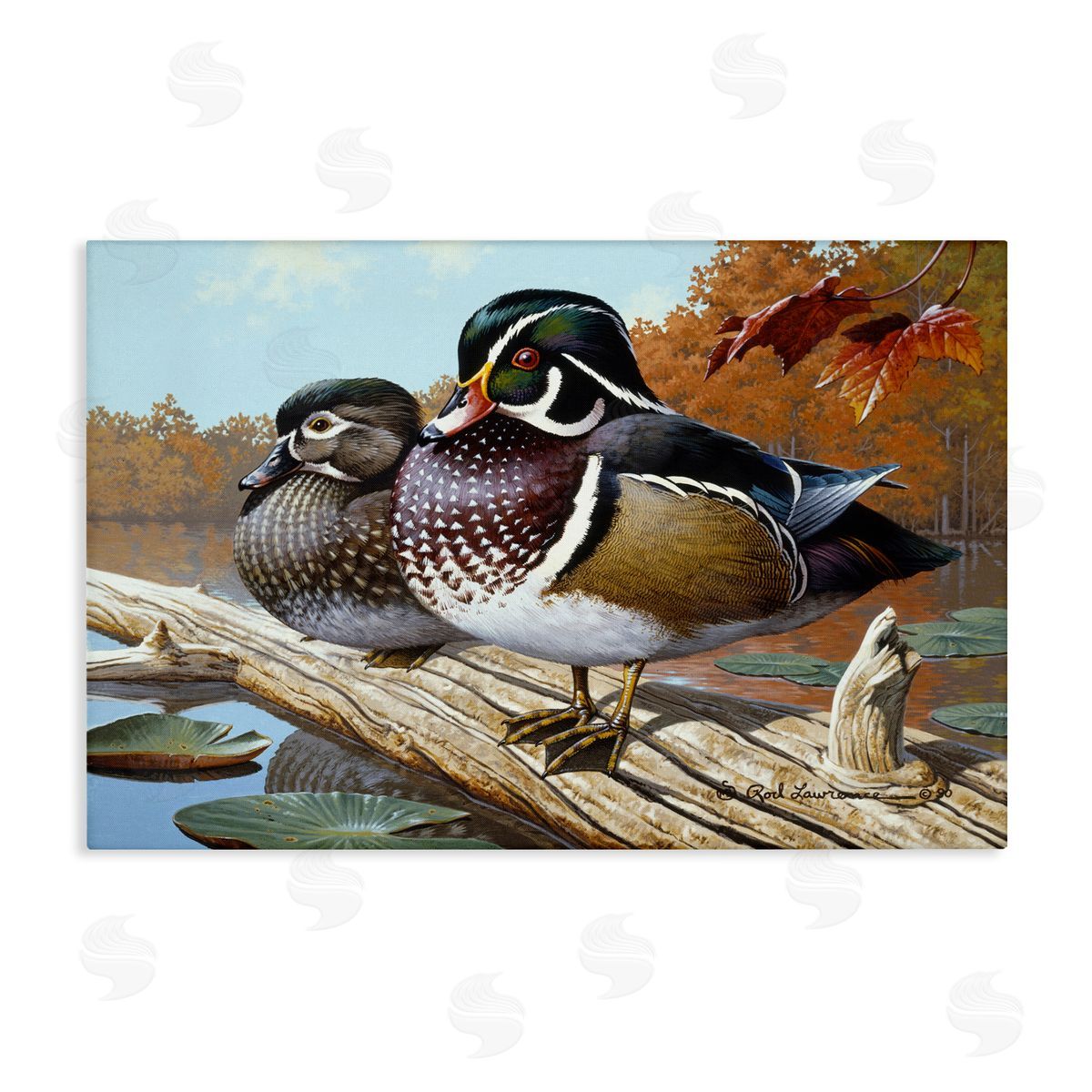 Rod Lawrence Duck Pair on Driftwood Canvas Wall Art Print