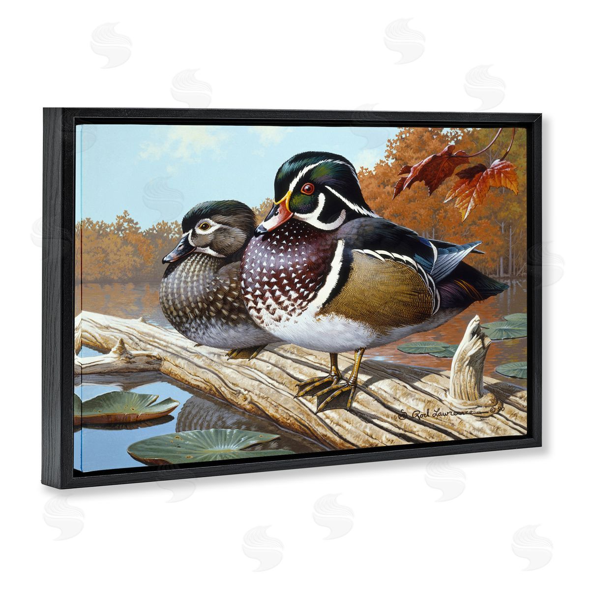 Rod Lawrence Duck Pair on Driftwood Black Floating Frame Canvas Wall Art Print